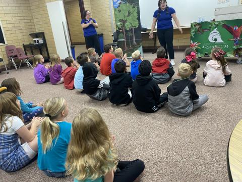 Learning about the rainforest